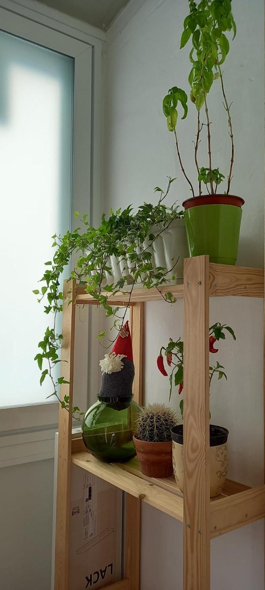Apartament Lotus Bari Zewnętrze zdjęcie